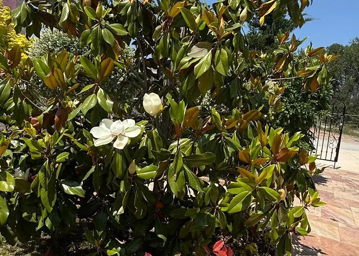 Angel's Sea Castle Apartment Sosopol